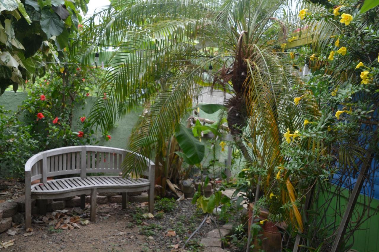 Palmetto Guesthouse Isla Culebra Exterior photo